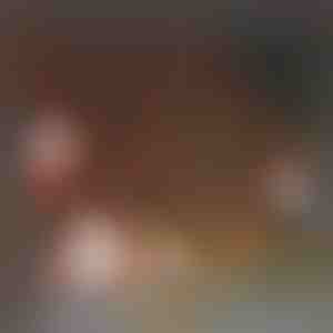 180x Kalėdiniai lipdukai | XMASCLINGS