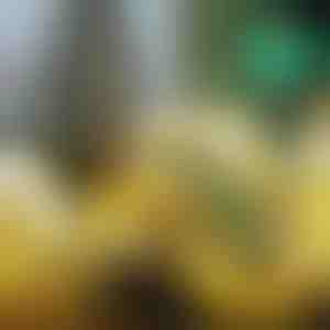 Šviečianti Kalėdinė juosta (500 cm) | SHINESTRAP 1+1 NEMOKAMAI