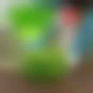 Laikykite kenkėjus atokiau su VEGISHIELD (10 vnt.)