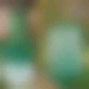 Daugkartinio naudojimo pakabinama musių ir vabzdžių gaudyklė | INSECTA