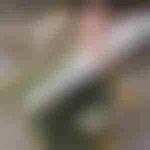 Lengvai naudojamas namų sušių volelis | SUSHROLIO