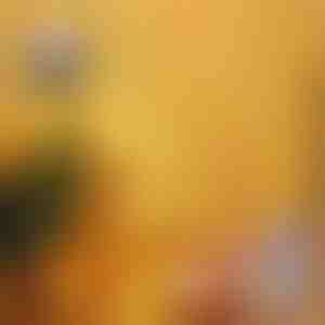 2x Šventinė LED lempučių užuolaida | CURLIGHT