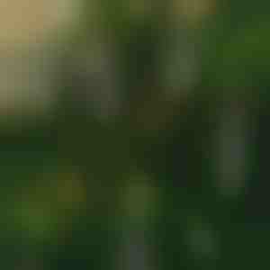 Belaidės mirgančios žvakės (6 vnt.) | CANDLEA